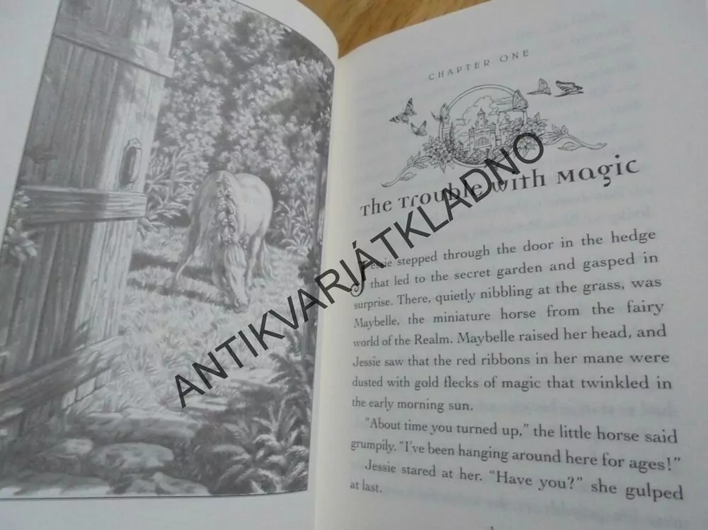 FAIRY REALM, THE FLOWER FAIRIES,E. RODDA, ANGLICKY, **an