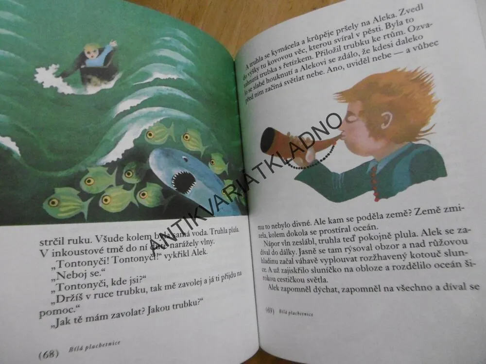 SCHOVÁVANÁ SE SLUNÍČKEM, GEORGIJ BALL, **an