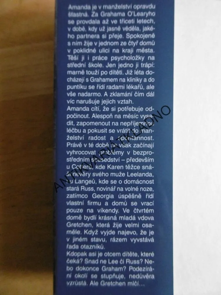 SLEPÁ ULIČKA, BARBARA DELINSKY, **an