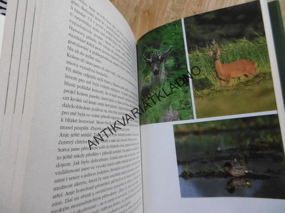 VE STOPÁCH SVATÉHO HUBERTA A JINÉ LOVECKÉ PŘÍBĚHY, **an
