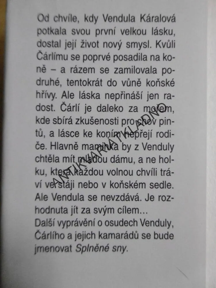 LÁSKA S VŮNÍ KOŇSKÉ HŘÍVY, AIDA BRUMOVSKÁ, **an