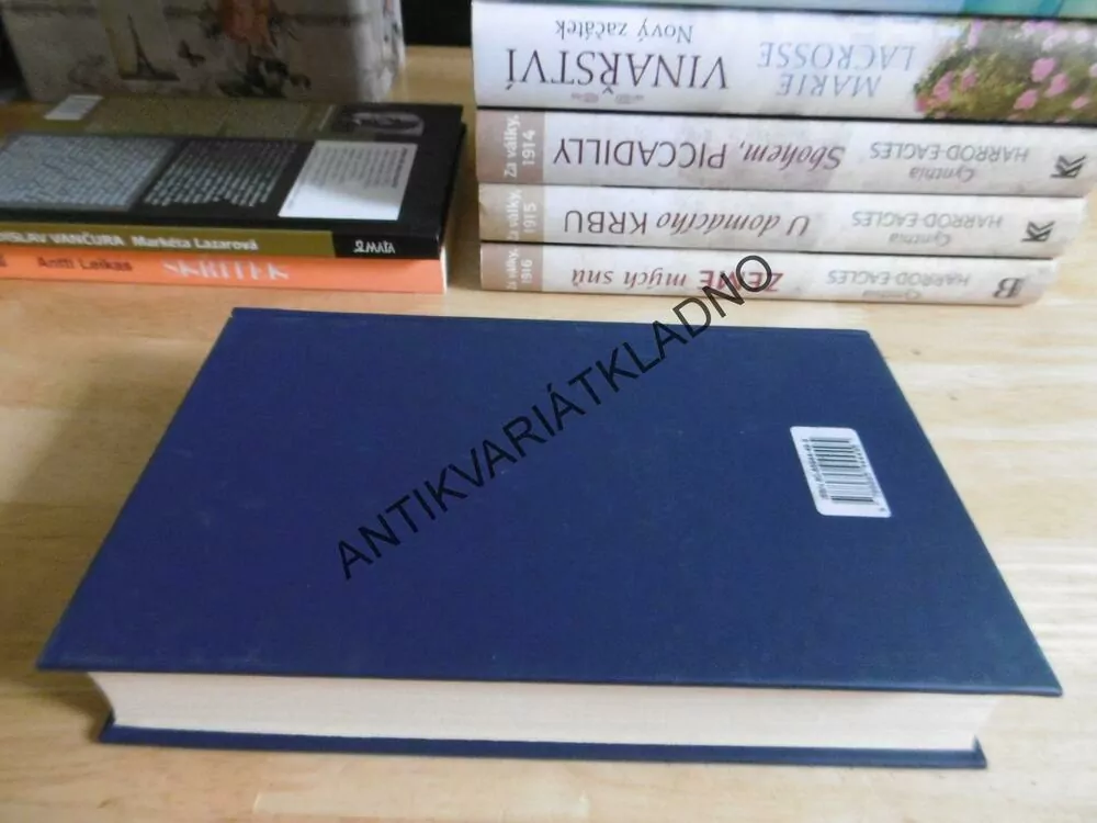 IDIOT, F.M.DOSTOJEVSKIJ, **an
