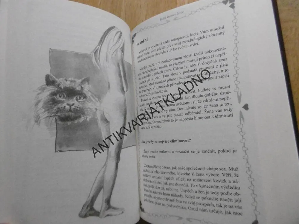 VELKÁ KNIHA O LÁSCE, **an