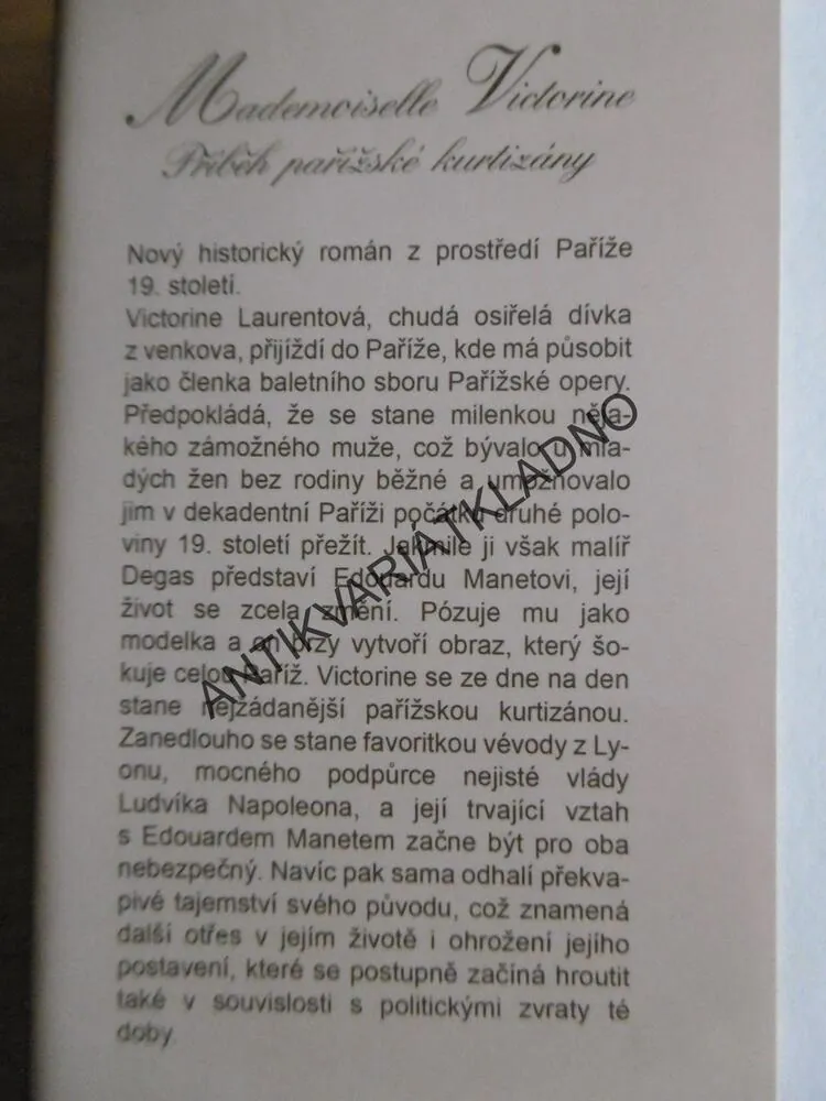 MADEMOISELLE VICTORINE - PŘÍBĚH PAŘÍŽSKÉ KURTIZÁNY, DEBRA FINERMAN, **an