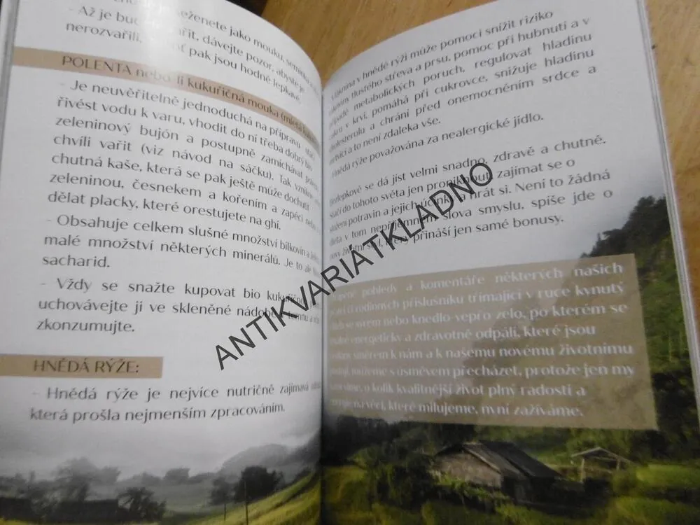 VÝŽIVA - PROČ JE PRO NÁS DŮLEŽITÁ, **an