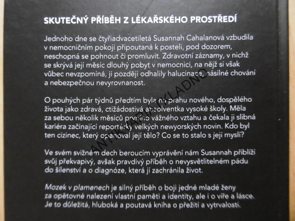 MOZEK V PLAMENECH, SUSANNAH CAHALANOVÁ, **an