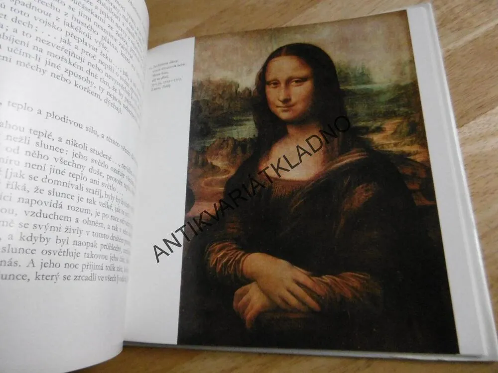 MALÁ GALERIE - LEONARDO DA VINCI, VÝTVARNÉ UMĚNÍ, **an