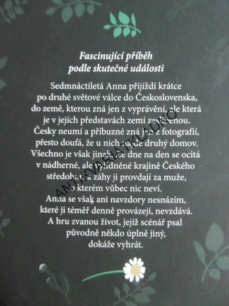 HEŘMÁNKOVÉ ÚDOLÍ, HANA MARIE KÖRNEROVÁ, **an