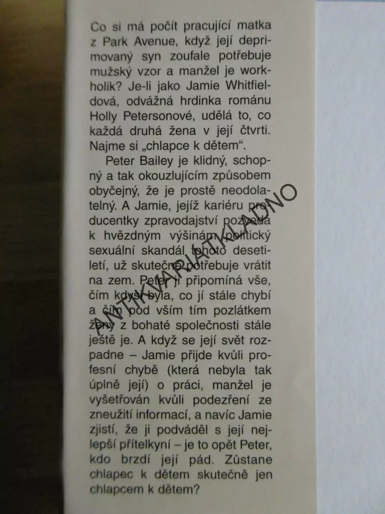 CHLAPEC K DĚTEM, HOLLY PETERSONOVÁ, **an