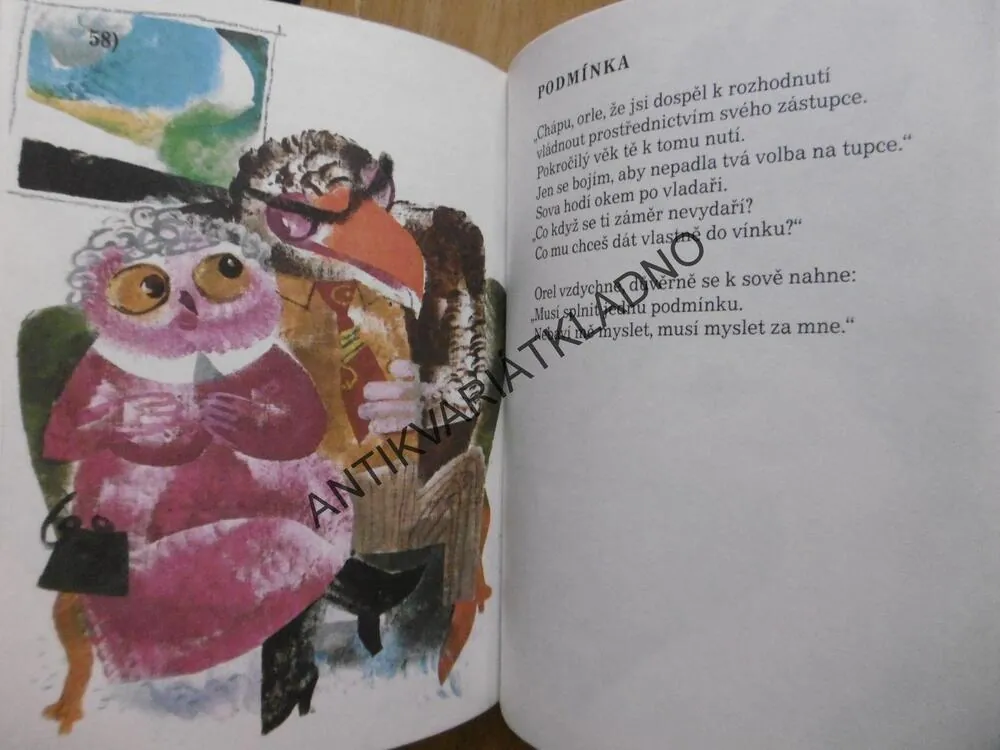 PÁTÁ KOPA BAJEK, MIROSLAV KAPEK, **an