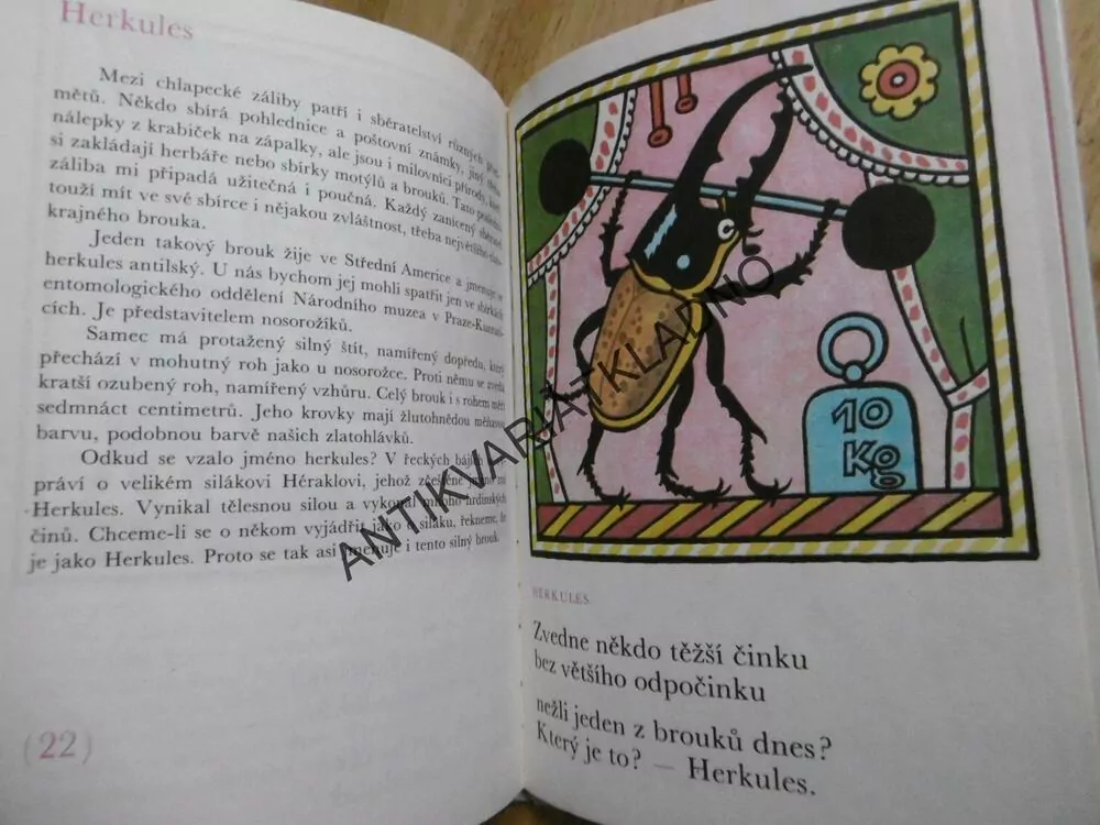 BROUCI A HMYZ, LADOVY VESELÉ UČEBNICE, LADA, STEHLÍK, **an