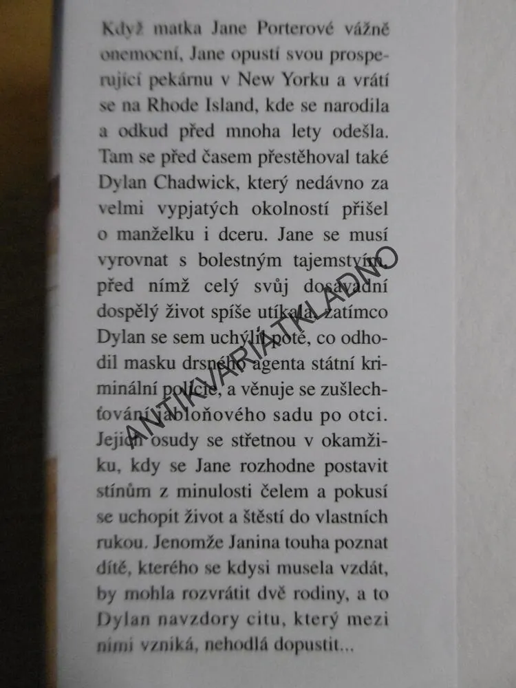 KDYŽ ZHASNE HVĚZDA, LUANNE RICEOVÁ, **an