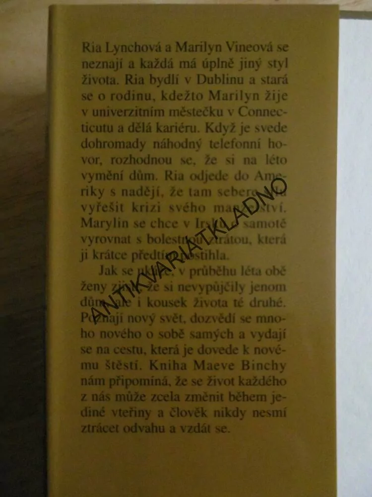 DŮM NA TARA ROAD, MAEVE BINCHY, **an