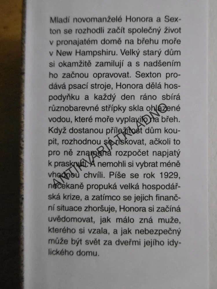 STŘÍPKY SKLA, ANITA SHREVEOVÁ, **an