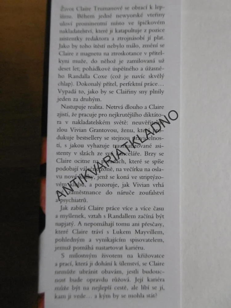 NADĚJNÉ VYHLÍDKY, BRIDIE CLARK, **an