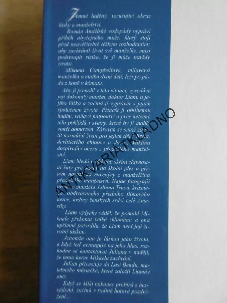 ANDĚLSKÉ VODOPÁDY, KRISTIN HANNAH, **an