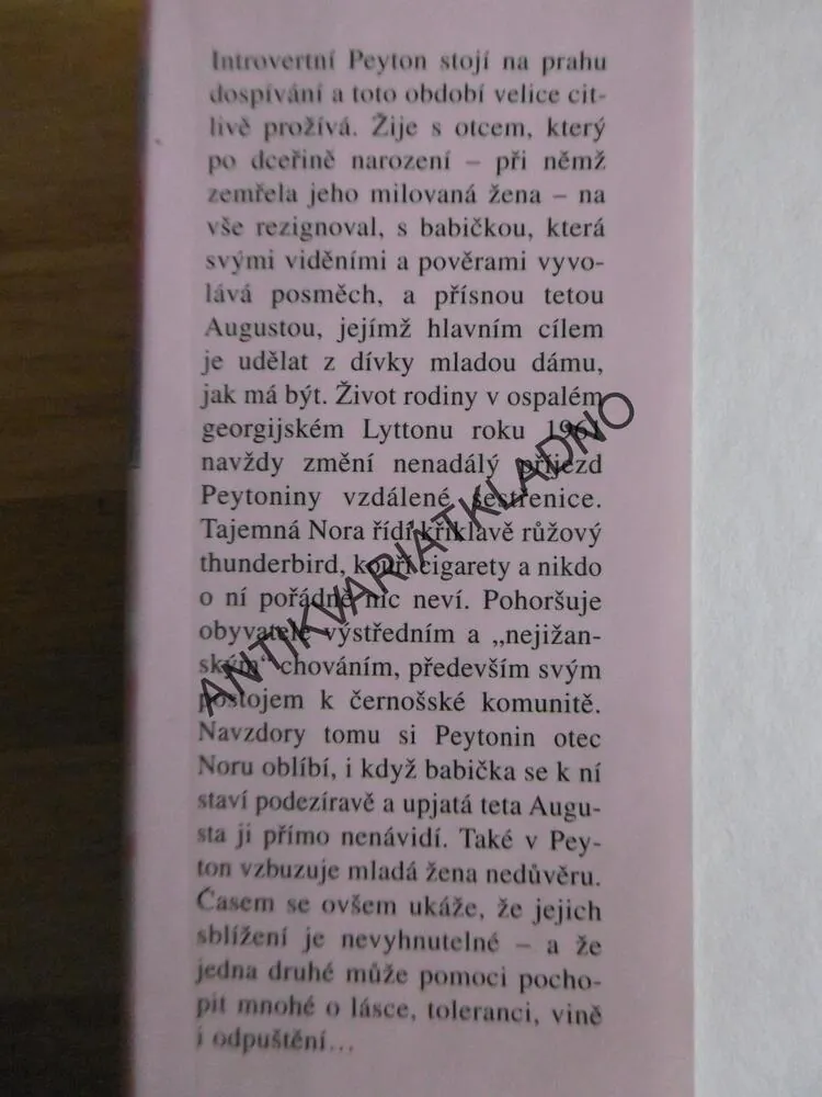 NEZKROTNÁ NORA, ANNE RIVERS SIDDONSOVÁ, **an