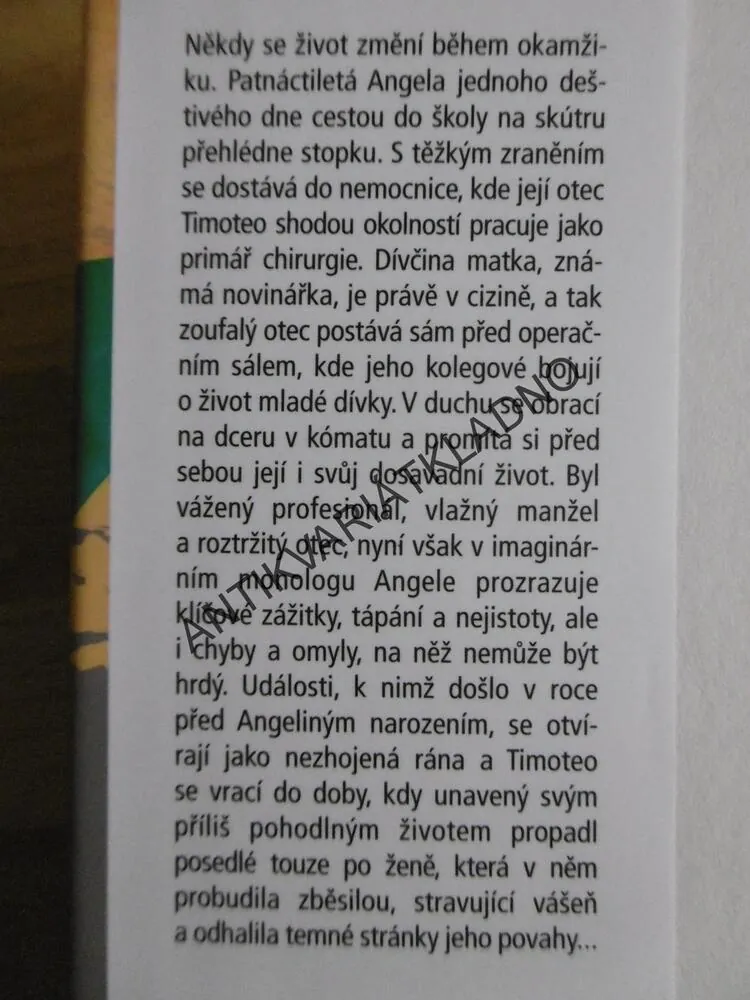 NEHÝBEJ SE, MARGARET MAZZANTINI, **an