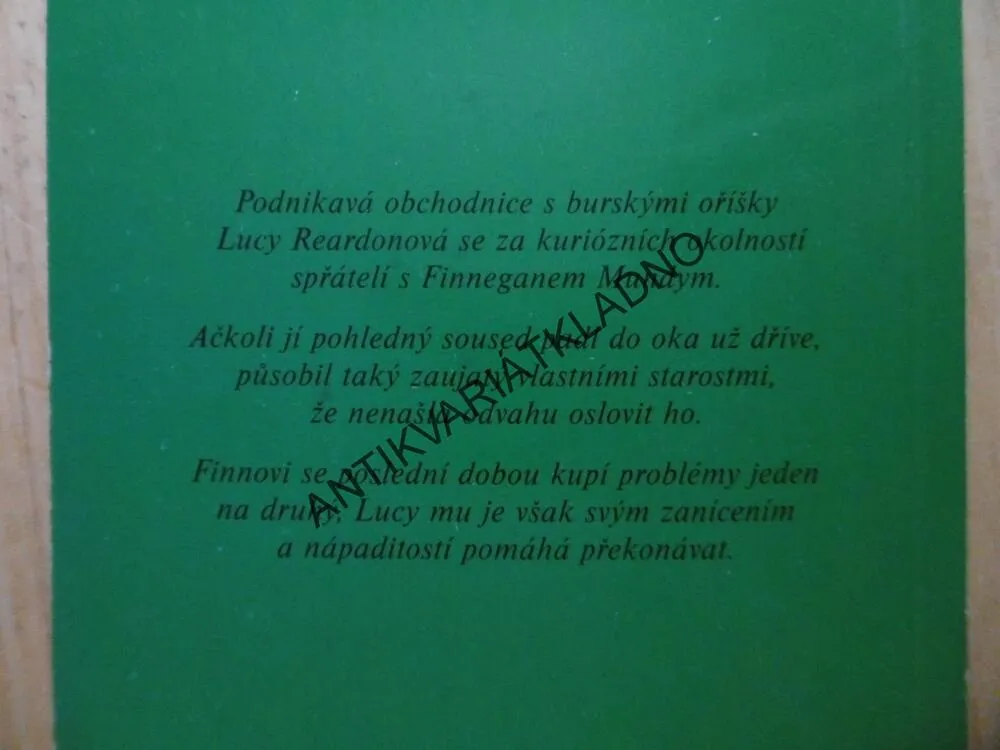 SCHODY DO NEBE, SARA ORWIG, **an