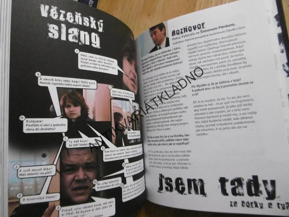 O ČEŠTINĚ, ALEŠ CIBULKA, **an