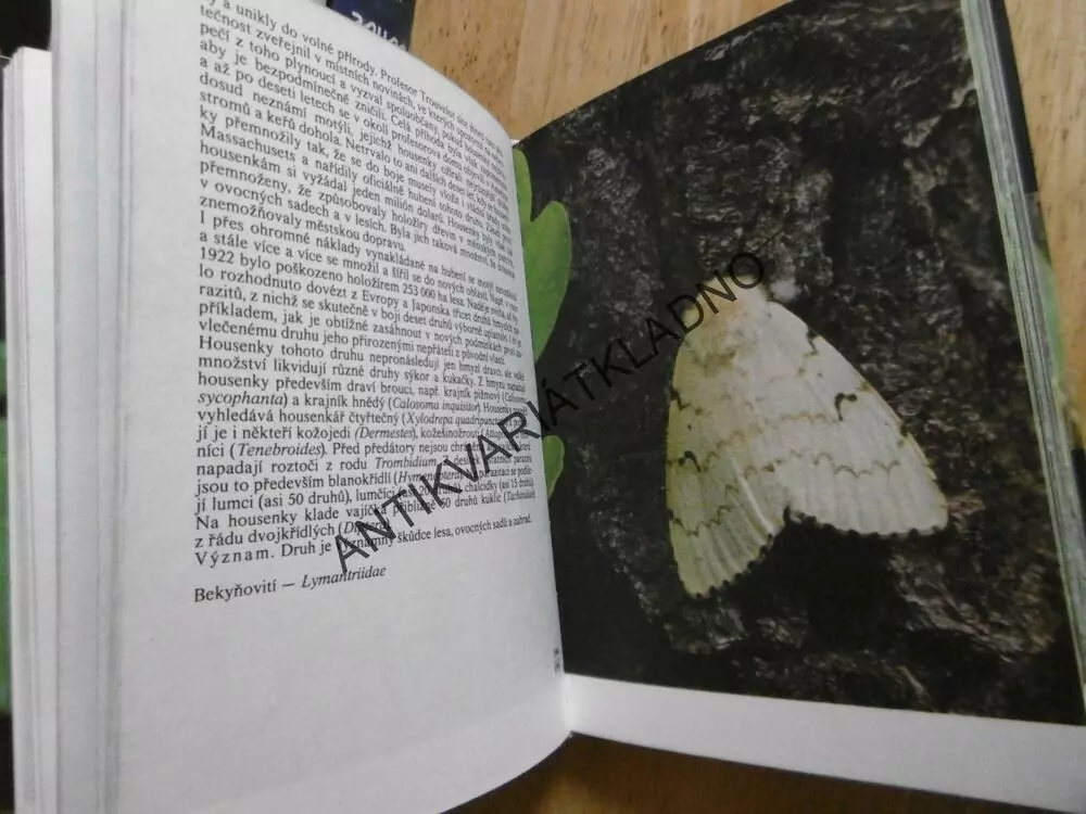 KAPESNÍ ATLAS NAŠICH MOTÝLŮ, RUDOLF HRABÁK, **an