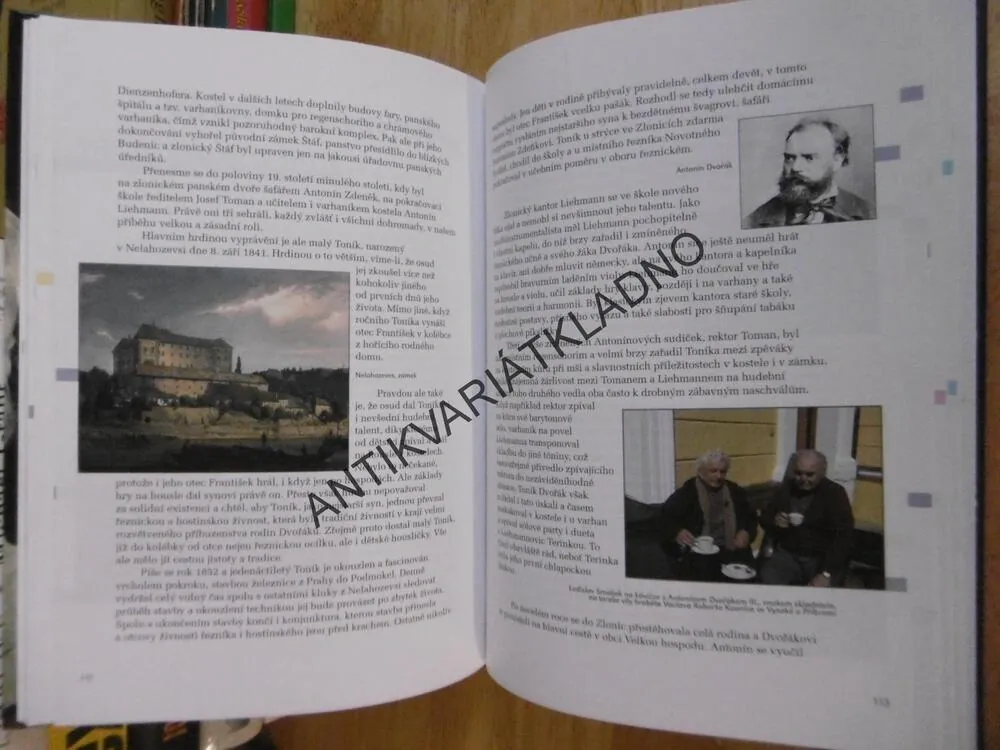 TOULKY S LADISLAVEM SMOLJAKEM, VLADIMÍR MERTLÍK, **an