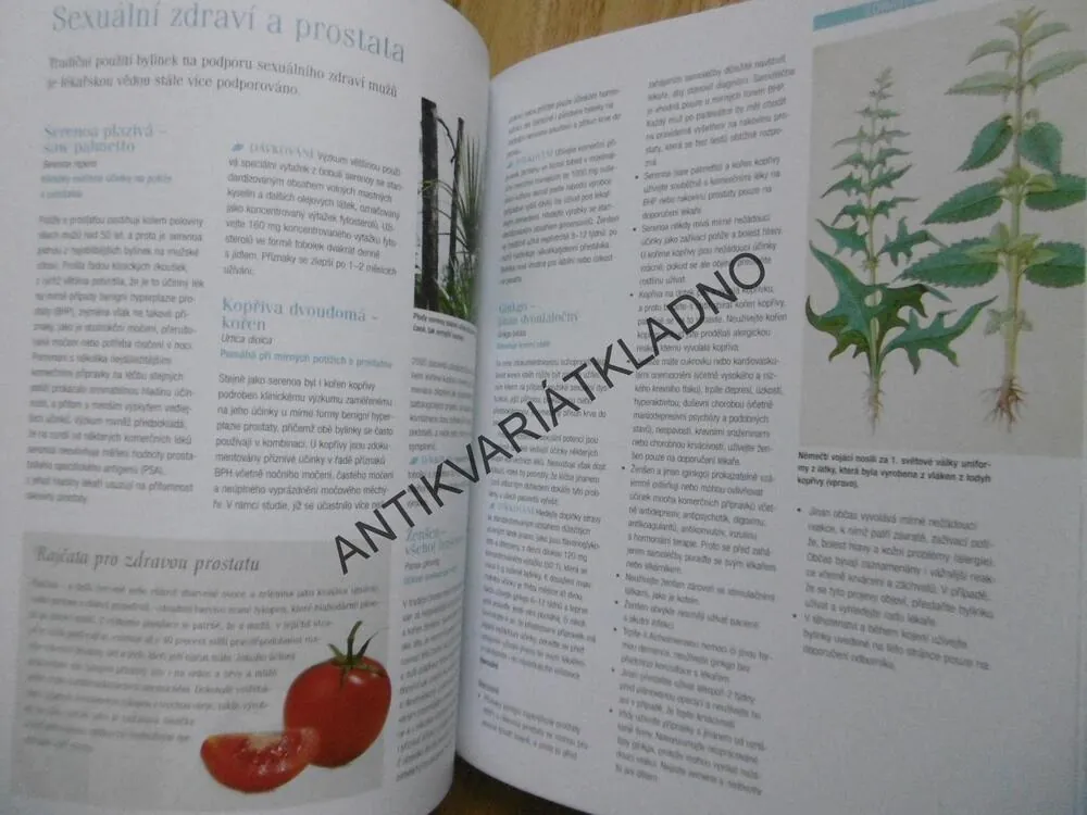 VELKÁ KNIHA BYLINEK, HERBÁŘ, BYLINKY, MEDICÍNA, KOSMETIKA, RECEPTY, VÝBĚR, **an