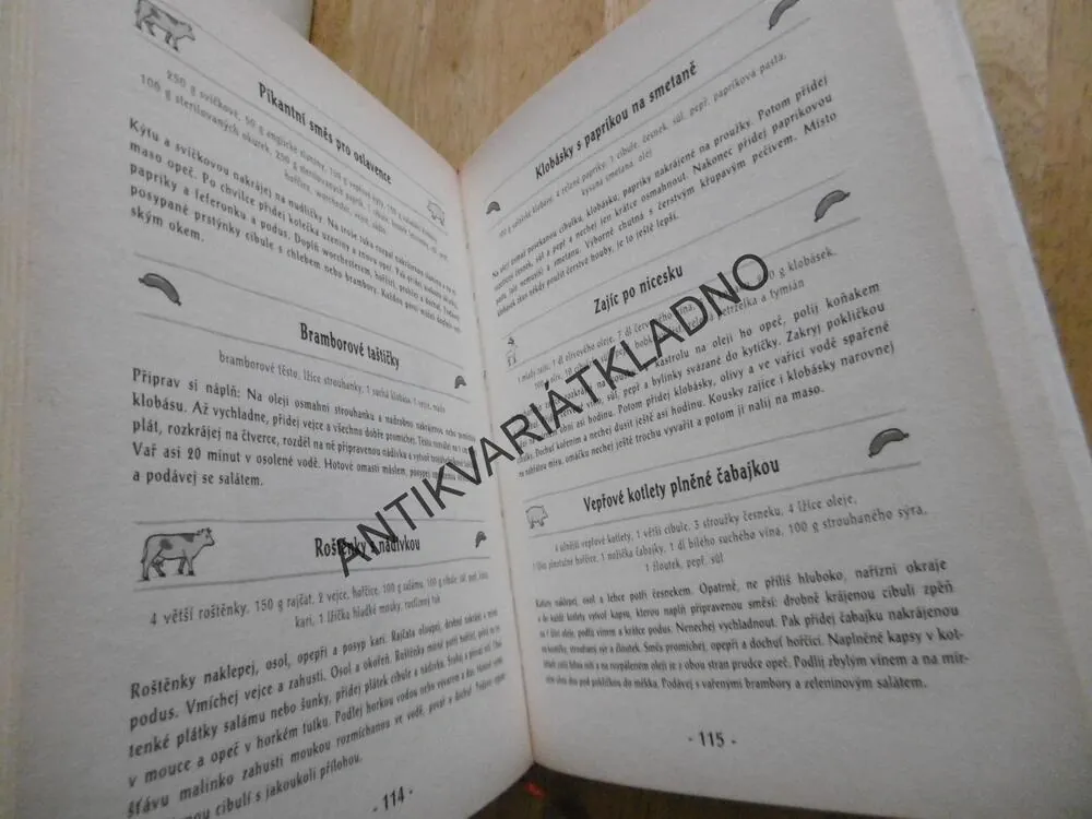 KUCHAŘKA VALAŠSKÉHO KRÁLOVSTVÍ ANEB POLÍVKA JE GRUNT, **an