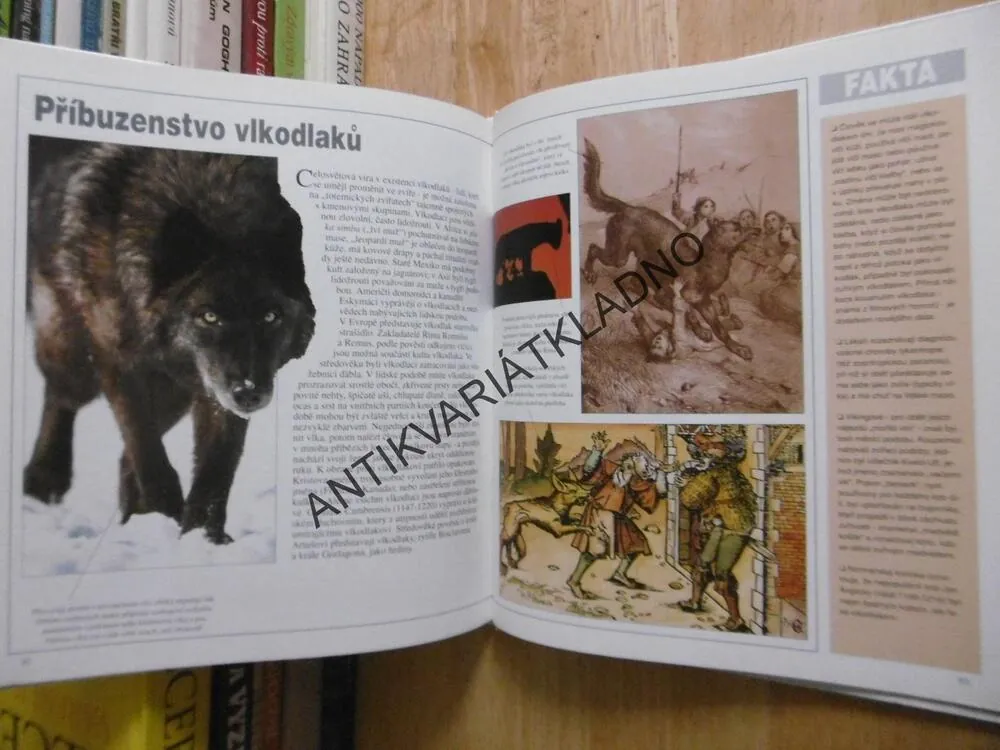 LIDÉ A PŘÍŠERY, PODIVNÉ BYTOSTI A NEUVĚŘITELNÍ TVOROVÉ: MÝTUS NEBO SKUTEČNOST?, RICHARD O'NEILL, **an