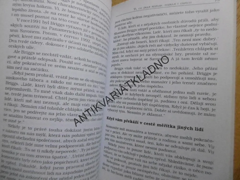 NEVYBROUŠENÝ DIAMANT, FARBER, PSYCHOLOGIE