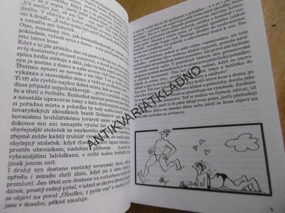 MUŽI V PŘECHODU, VSTUP DO NOVÉHO ŽIVOTA, PETER ORZECHOWSKI, ROBERT GRIESBECK, **an