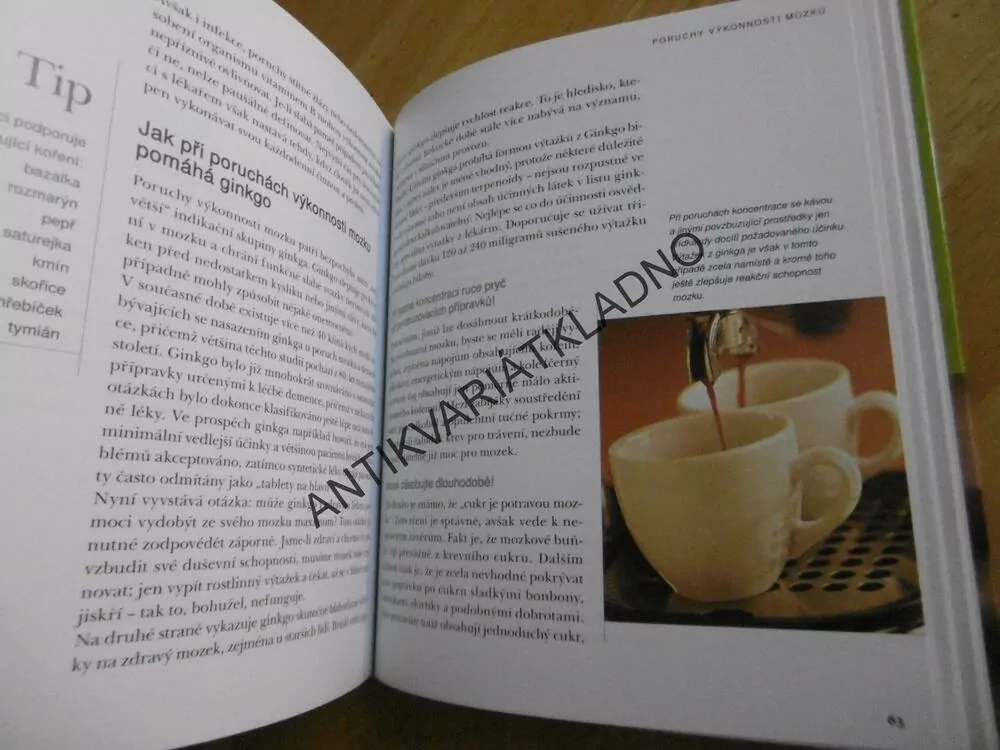 GINKGO JAKO LÉK, DR. JÖRG ZITTLAU, **an