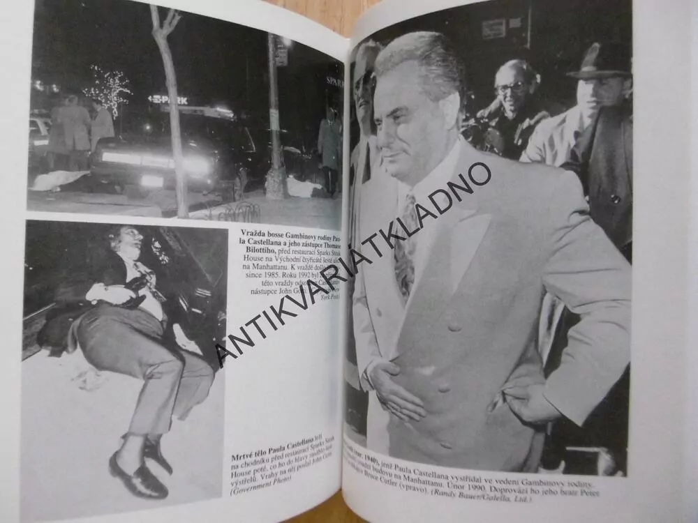 DYNASTIE MAFIE, VZESTUP A PÁD RODINY GAMBINO, JOHN H. DAVIS, **an
