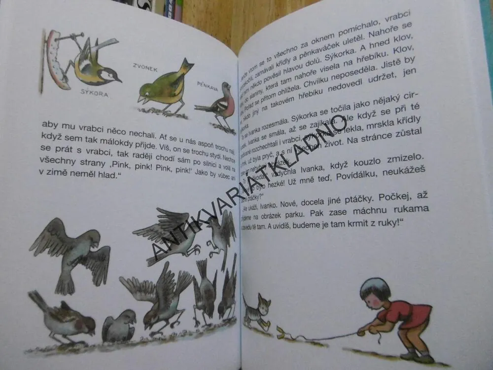 O PSU VZDUCHOPLAVCI, ONDŘEJ SEKORA, **an