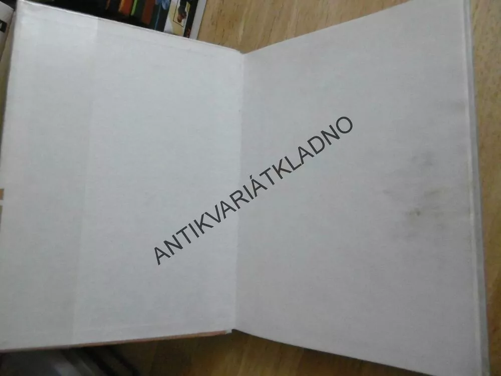 BRATRSTVO BÍLÉHO KLÍČE, FRANTIŠEK LANGER, **an