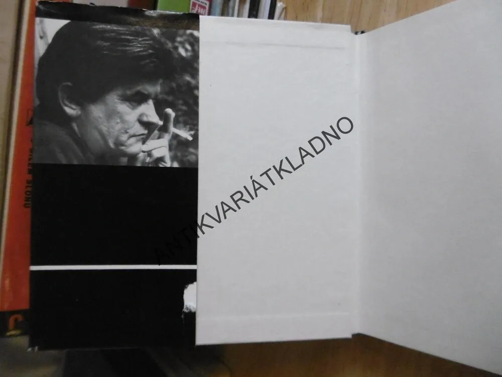 OTA JANEČEK, PETR HARTMANN, 1973, VÝTVARNÉ UMĚNÍ