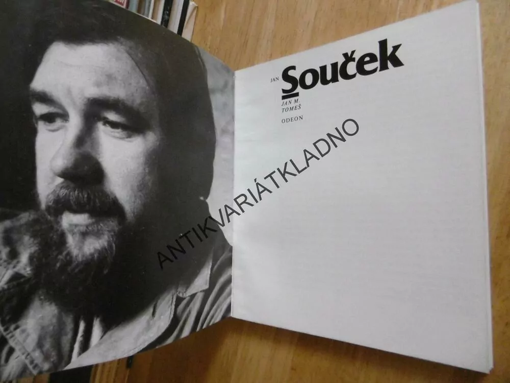 JAN SOUČEK, JAN M. TOMEŠ, VÝTVARNÉ UMĚNÍ