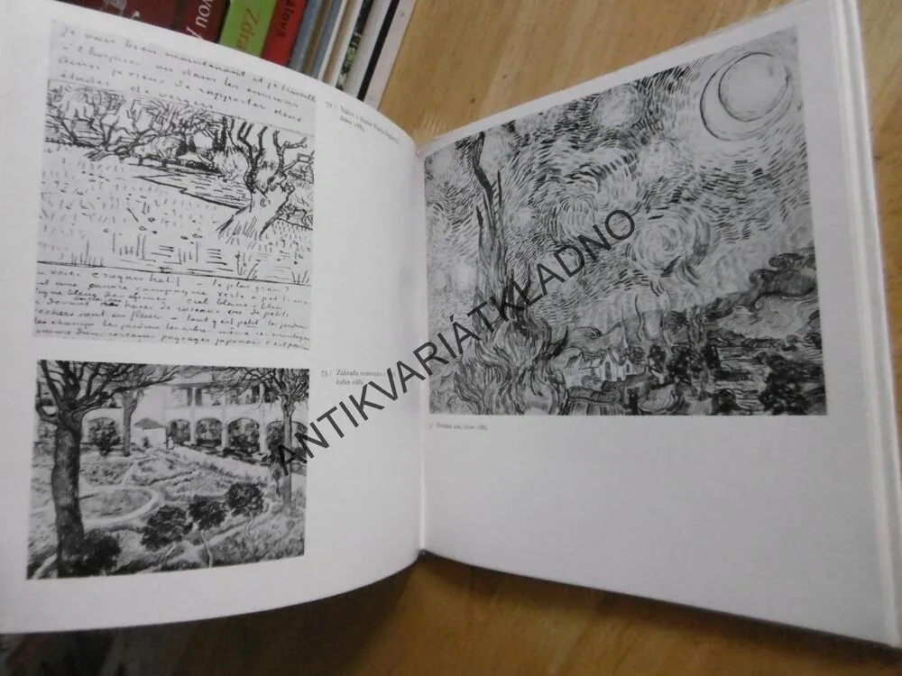 VINCENT VAN GOGH, DOPISY PŘÁTELŮM, **an