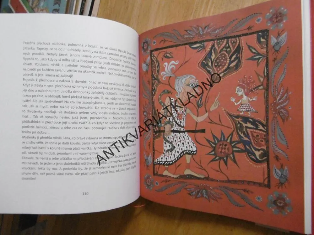 TAK SE MĚJ DIVOŽENKO, IRENA GÁLOVÁ,RENÁTA FUČÍKOVÁ, 2006, **an