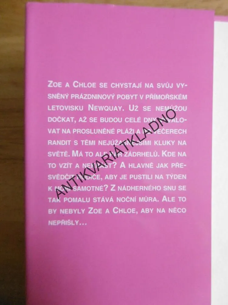 ZOE A CHLOE, DÍVKY 16, VYPRÁSKANÝ PRÁZDNINY, SUE LIMB
