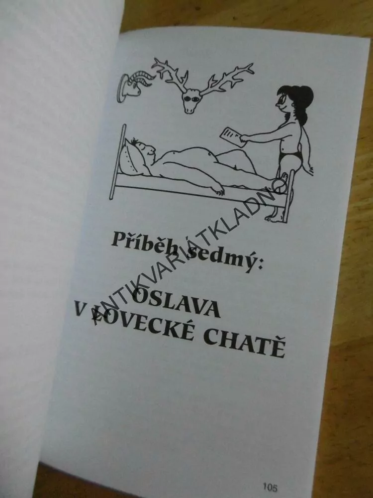 DEKAMERON PANA GENERÁLNÍHO ANEB KDYŽ SE CHLAPI VYTAHUJÍ, JIŘÍ FAUST, **an