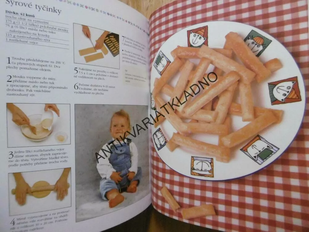 JAK A ČÍM KRMIT VAŠE MIMINKO, SARA LEWISOVÁ, **an