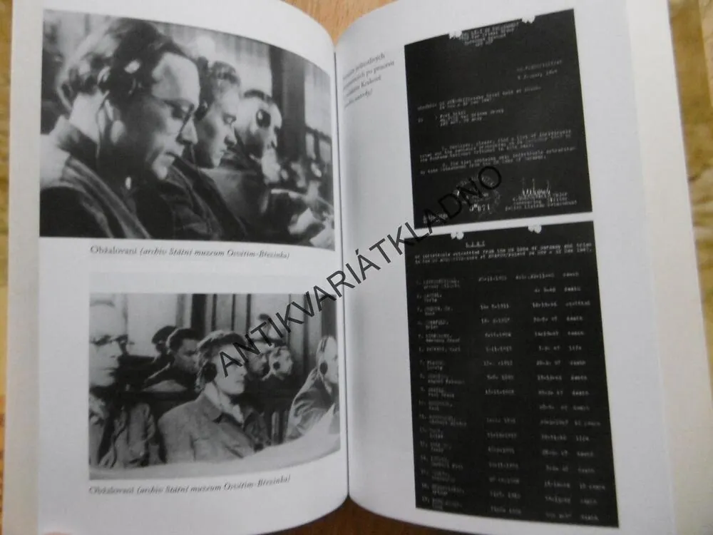 MŮJ TÁTA, VELITEL OSVĚTIMI, BARBARA U. CHERISH, **an