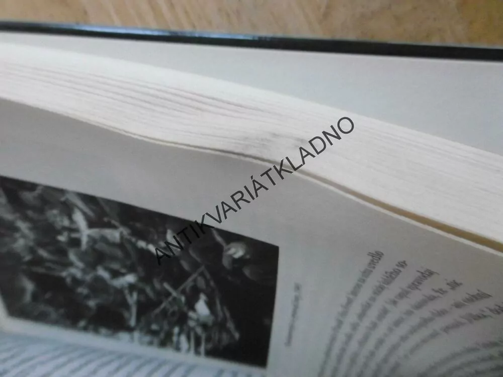 IVANOVA VÁLKA, RUDÁ ARMÁDA, 1939-45, CATHERINE MERRIDALEOVÁ, **an