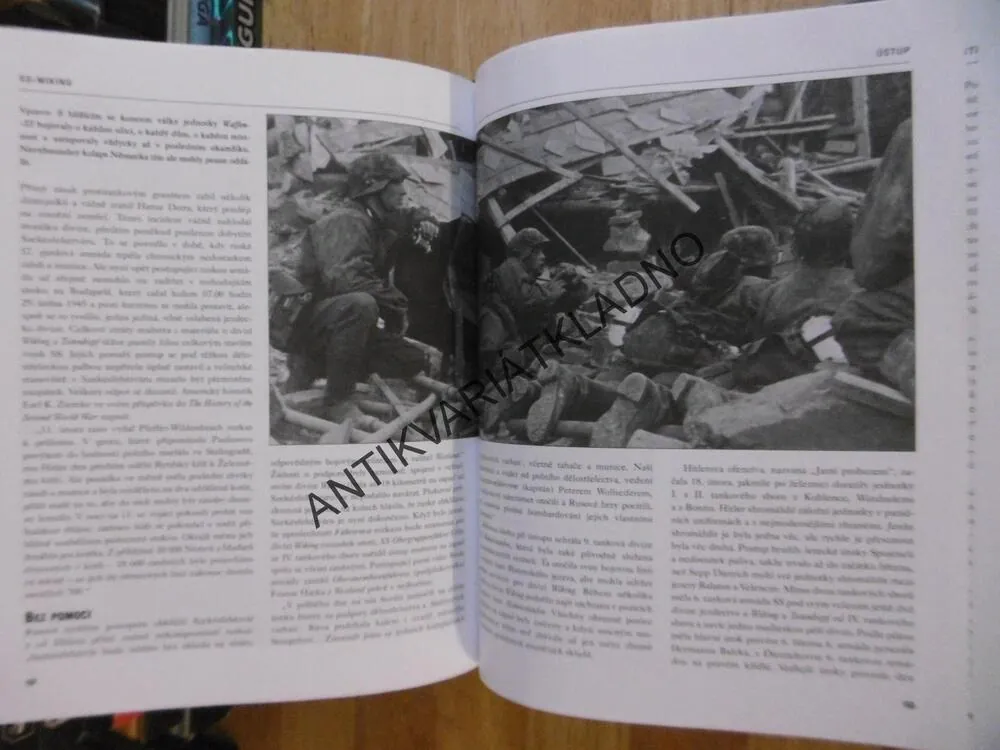 WIKING, HISTORIE PÁTE DIVIZE SS V LETECH 1940-1945, RUPERT BUTLER, **an