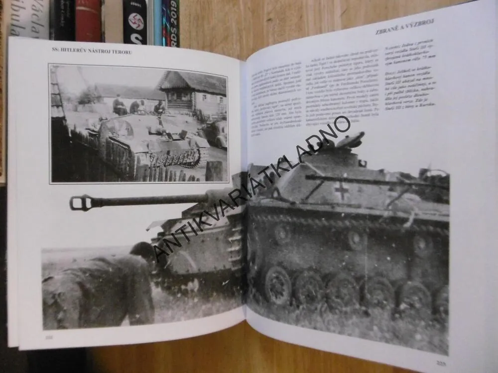 SS: HITLERŮV NÁSTROJ TERORU, UCELENÁ HISTORIE OD POULIČNÍCH BOJŮVEK K WAFFEN-SS, **an