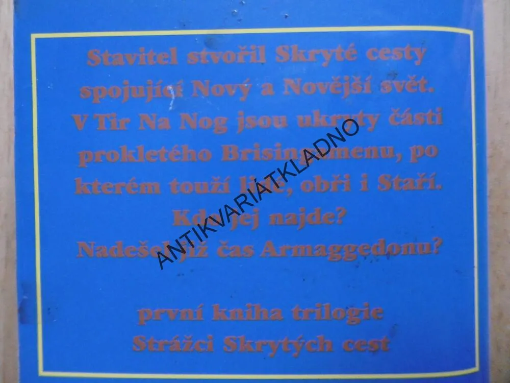 OHNIVÝ VÉVODA, JOEL ROSENBERG, **an