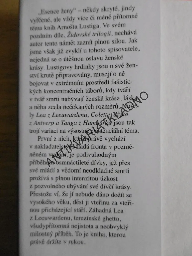 LEA Z LEEUWARDENU, ARNOŠT LUSTIG, **an