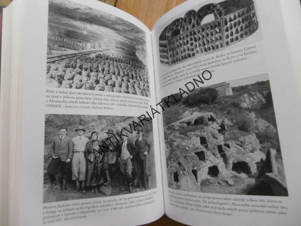 VELKÝ PLÁN, HIMMLEROVI VĚDCI A HOLOKAUST, HEATHER PRINGLEOVÁ, **an