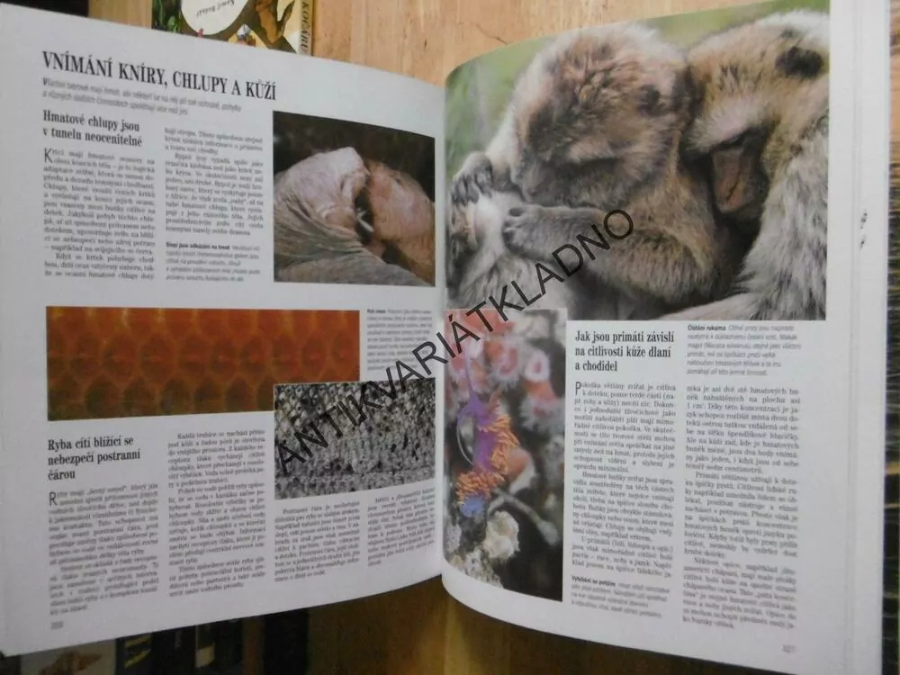 SOUKROMÍ ŽIVOČICHŮ, JOHN PALMER, **an